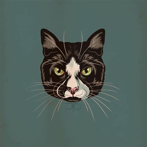 Tuxedo Cats Wallpapers - Wallpaper Cave