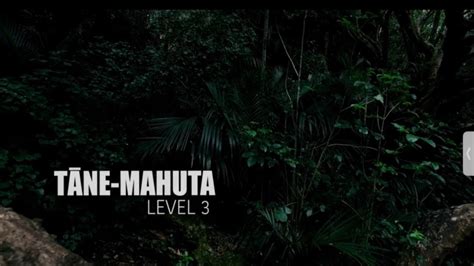Tāne Mahuta Level 3 Māori Movement Youtube