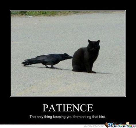 Funny patience Memes