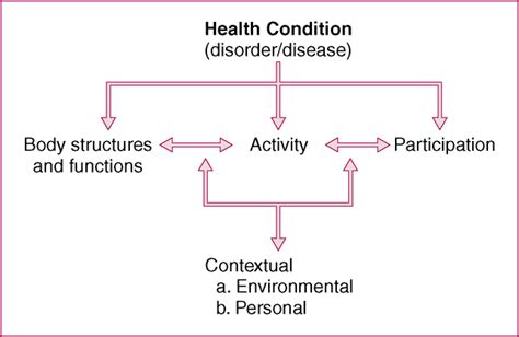 Disablement Models Icf Framework And Clinical Decision Making