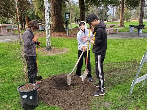 Tree planting, 2023