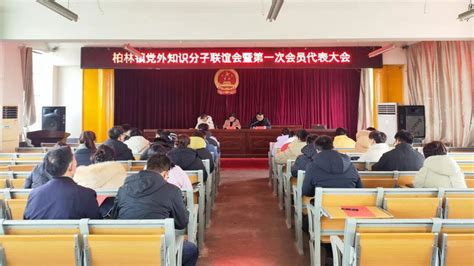 凝心聚力 共谋发展——柏林镇党外知识分子联谊会成立大会暨第一次会员代表大会召开