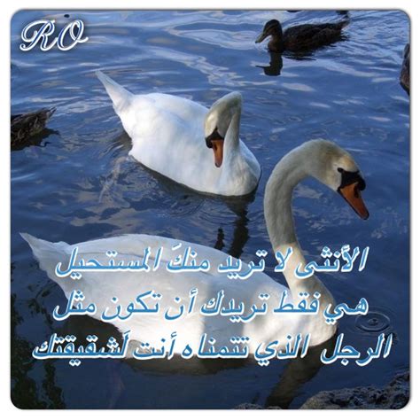 Pin by Nayla Derbala on رومانتيكي Arabic quotes Eloquent Arabic