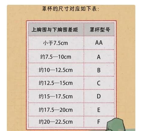 女人的胸部到底有幾種形狀？教你如何正確地計算自己的罩杯 每日頭條