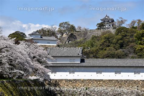 彦根城 天守閣と城郭 滋賀県彦根市の写真素材 147289639 イメージマート