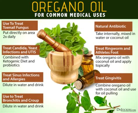 Ways To Use Oregano To Improve Your Immune System