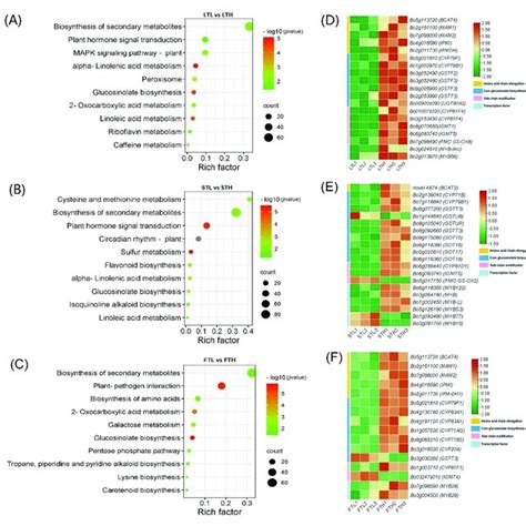 Kegg Pathway Enrichment Analyses Of Degs Identified Between Low And