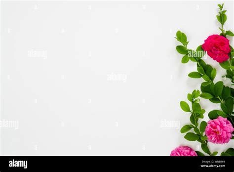 Flat Lay Top View Mock Up Floral Composition With Pink Rose Flowers On