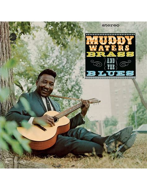 Muddy Waters Muddy Brass And The Blues