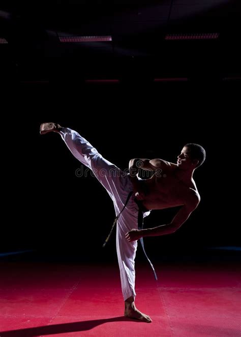 Taekwondo Side Kick Stock Photo Image Of Fighter Sport 23889368