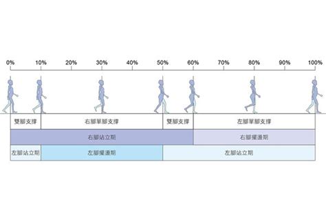 跑者膝 搜尋結果 華人健康網 專業即時優質的健康新聞及資訊分享平台業即時優質的健康新聞及資訊分享平台