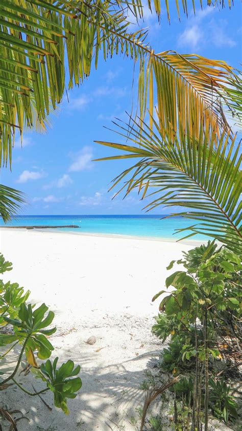 Plages De R Ve D Couvrir Aux Maldives Fond Ecran Gratuit Paysage