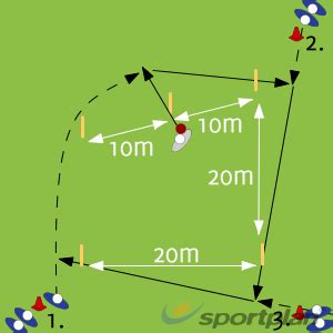 Stump Pentagon Drill Ground Fielding And Throwing Drills Cricket