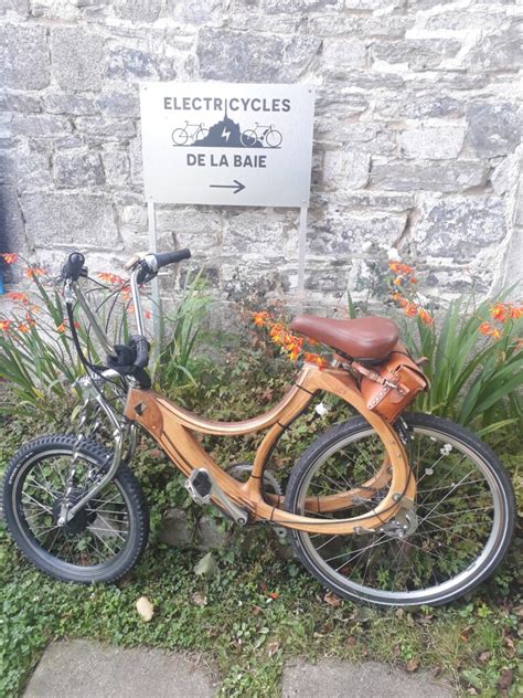 Electricycles De La Baie Votre Sp Cialiste De L Lectrification De V Lo