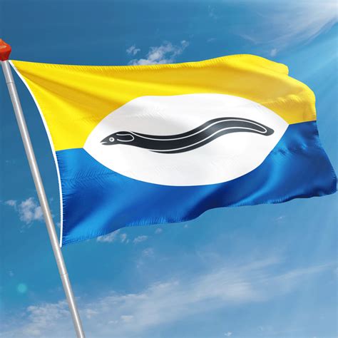 Vlag Lambertschaag Kopen Snelle Levering Klantbeoordeling