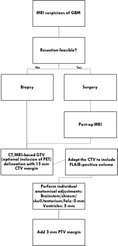 Estro Eano Guideline On Target Delineation And Radiotherapy Details For