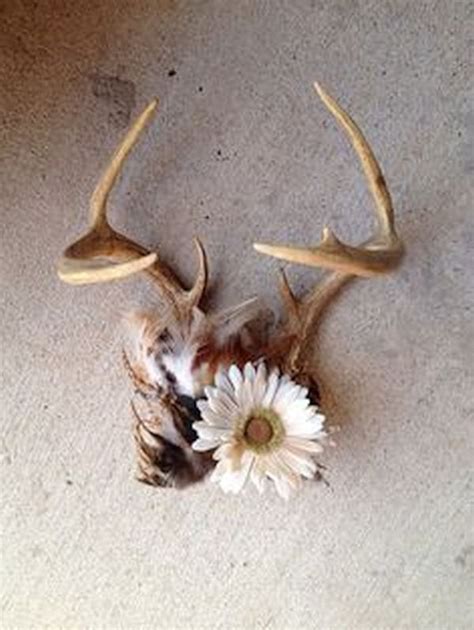 Creative Ways You Can Bring Antlers Into Your Home Décor Hometone Deer Antler Decor Deer