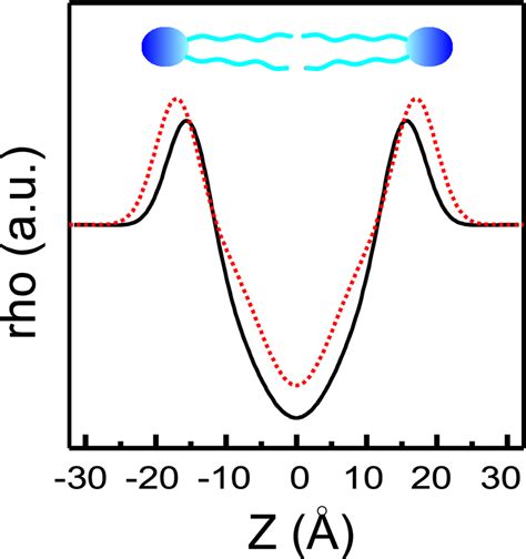 One Dimensional Electron Density Profiles Calculated From SAXD Patterns