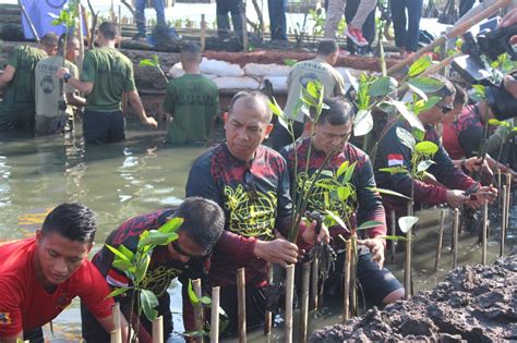 Danmenbanpur Mar Ikuti Olahraga Sepeda Dan Penanaman Bibit Mangrove