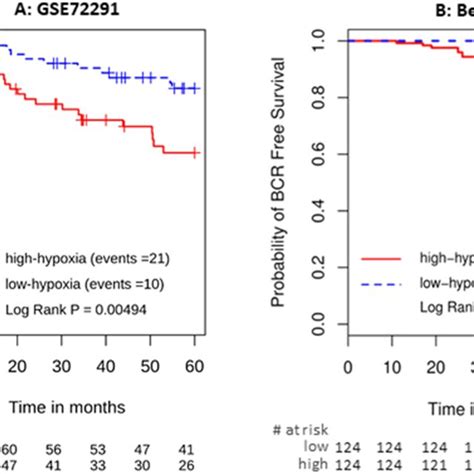 Kaplan Meier Plots For Independent Validation Of The 28 Gene Hypoxia