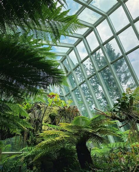 5 unique nature parks in Singapore for your next outdoors trip