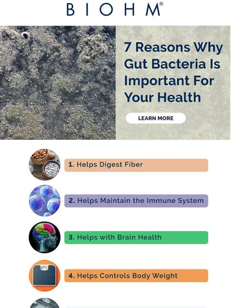 Biohm Health 7 Reasons Why Gut Bacteria Is Important For Your Health 🦠 Milled