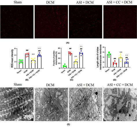 Cardioprotective Effects Of Asiaticoside Against Diabetic