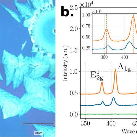 A Optical Microscopy Image Of Mos Films Grown On Sio Si Substrate