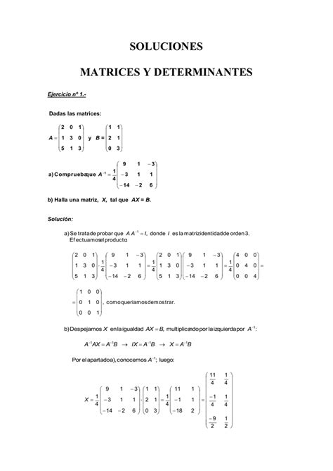 Soluciones De Matrices Y Determinantes