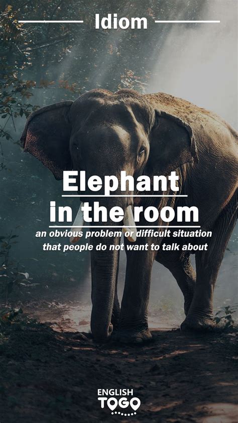 Elephant in the room | English phrases idioms, Idioms, English vocabulary