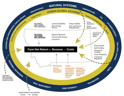 Agriculture Mca