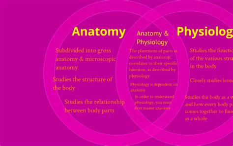 Compare & Contrast: Anatomy & Physiology by Breyhauna Johnson on Prezi