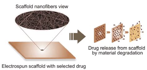 Drug Release From Electrospun Nanofibers Download Scientific Diagram