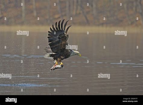 Feldberger Seenplatte Fotos Und Bildmaterial In Hoher Aufl Sung Alamy