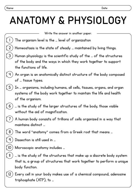 12 Anatomy Practice Worksheets