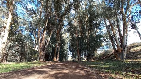 Las imágenes de la ruta ornitológica del corredor verde