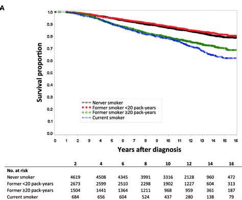 Kaplan Meier Survival Curves By Smoking Status Data Were Analyzed For