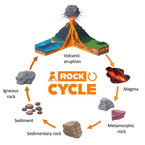 The Rock Cycle In 2024 Rock Cycle Rock Cycle Project Geography Lessons