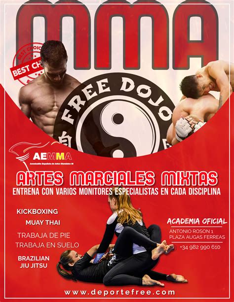 Clases De Artes Marciales Mixtas En Lugo Deporte FREE