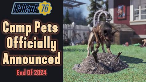 Camp Pets Officially Coming To Fallout Youtube