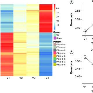 Predominant Temporal Trends In DNA Methylation Observed During