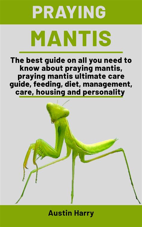 Praying Mantis The Best Guide On All You Need To Know About Praying Mantis Praying Mantis