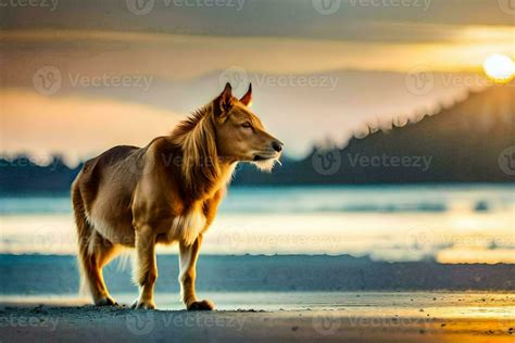 a horse standing on the beach at sunset. AI-Generated 31944472 Stock ...