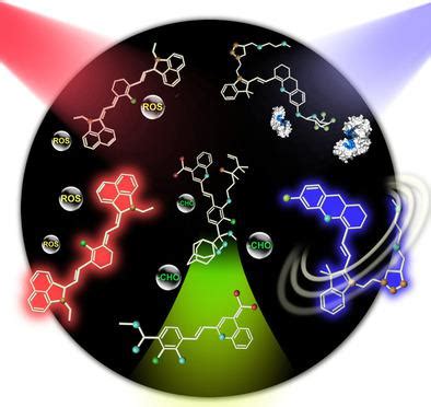 Activatable Molecular Probes For Second Near Infrared Fluorescence