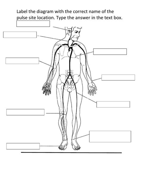 Pulse Nightclub Diagram