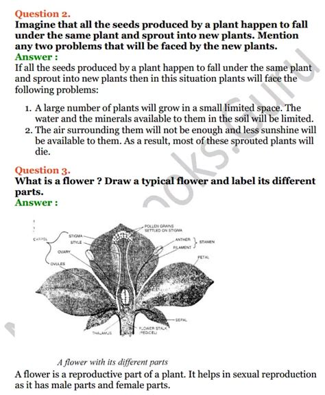 Selina Concise Biology Class Icse Solutions Chapter The Flower