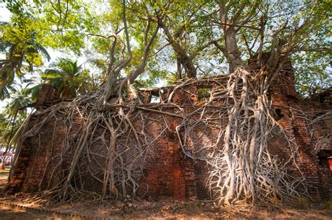 Ross Island: The Ghostly Ruins of a Former Penal Colony | Amusing Planet