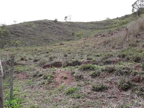 Fazenda Sítio 166000 m² em Bemposta em Três Rios por R 600 000 Viva