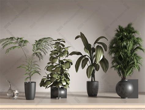 【现代植物盆栽组合3d模型】建e网现代植物盆栽组合3d模型下载 Id111040224 打造3d现代植物盆栽组合模型免费下载平台