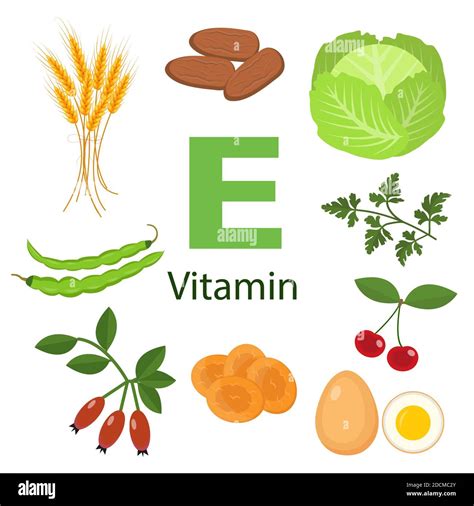 Vitamina E o Tocoferol fuentes alimenticias Productos orgánicos